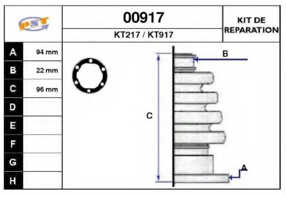 SNRA 00917