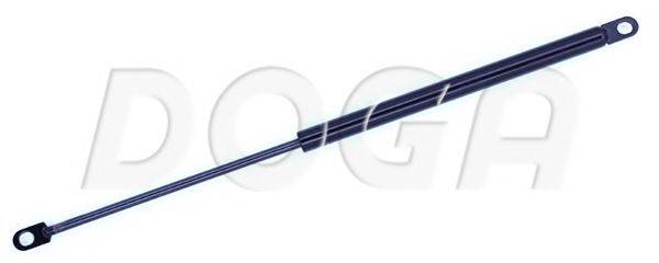 DOGA 2023773